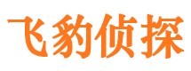 芜湖外遇出轨调查取证